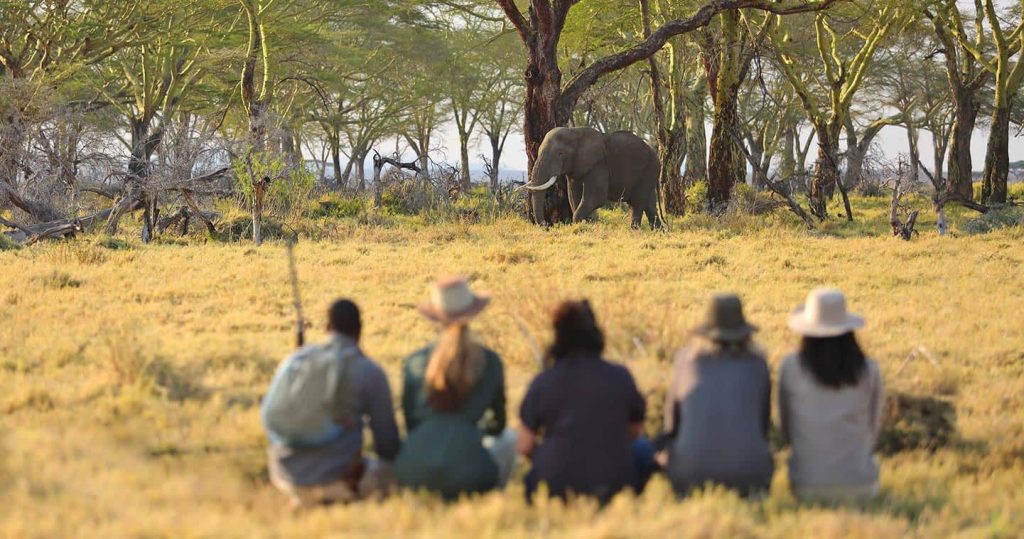 tanzania serengeti conservation protection x
