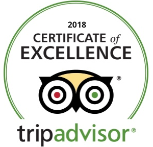 trip advisor 